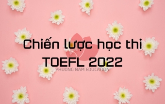 Chiến lược học thi IB 2022